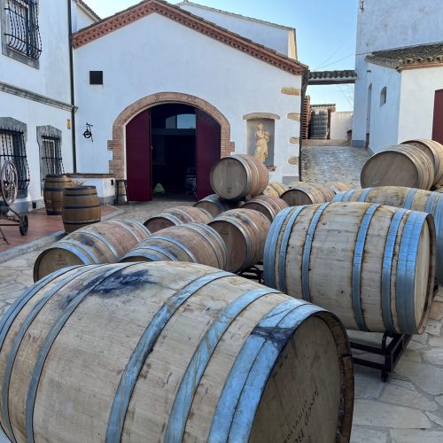 pati amb botes. Miquel jané